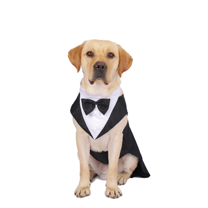 Haustier-Hundekleidung, modisc – Suit Supply Wedding Party Bewertung und Preis