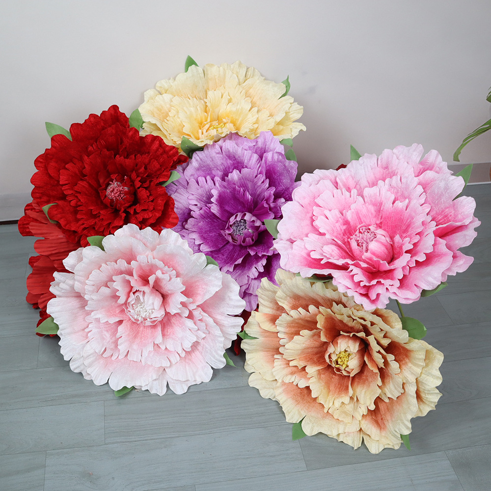 30-80cm Riesige Samt-Pfingstro – Wedding Supply Bulk Bewertung und Preis